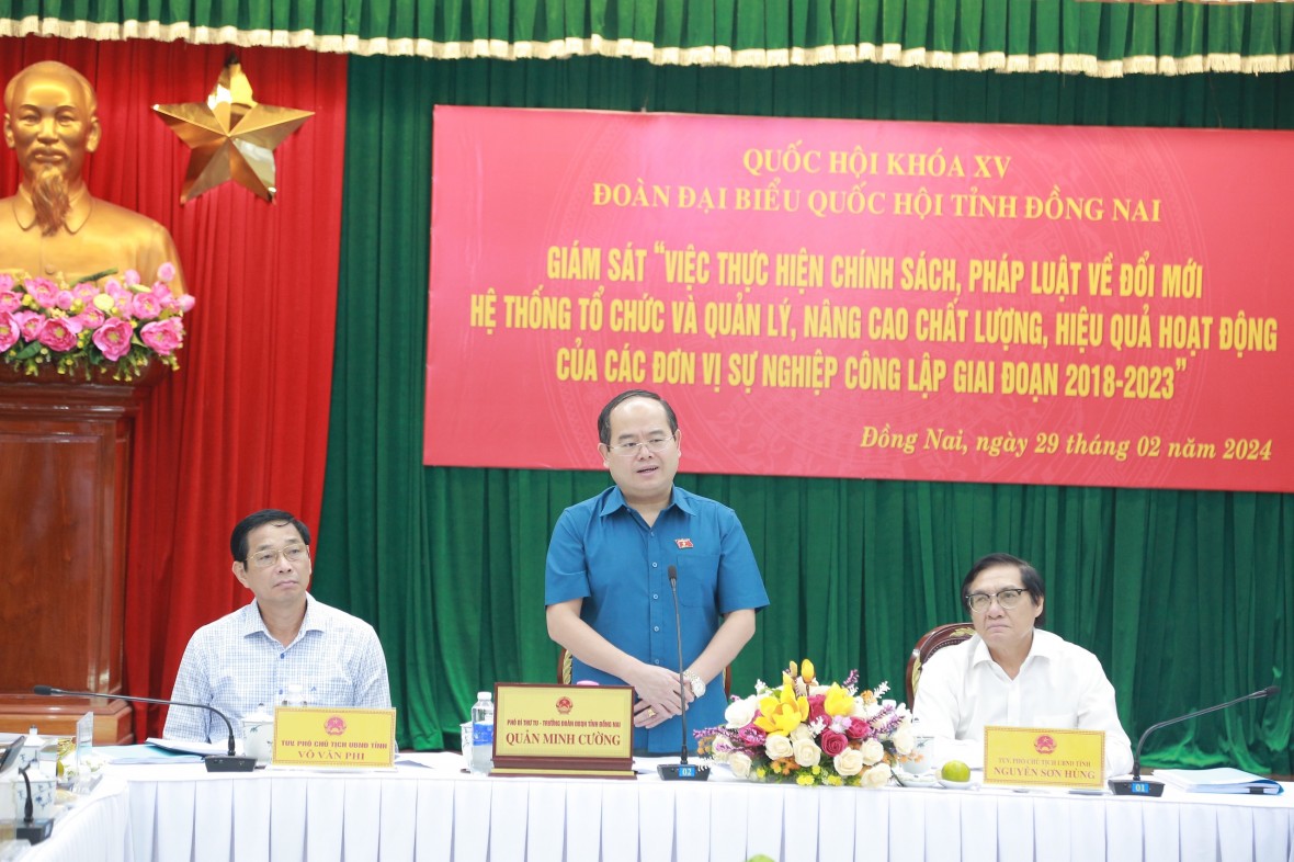 Phó Bí thư Tỉnh uỷ, Trưởng Đoàn ĐBQH tỉnh Quản Minh Cường phát biểu tại buổi giám sát.