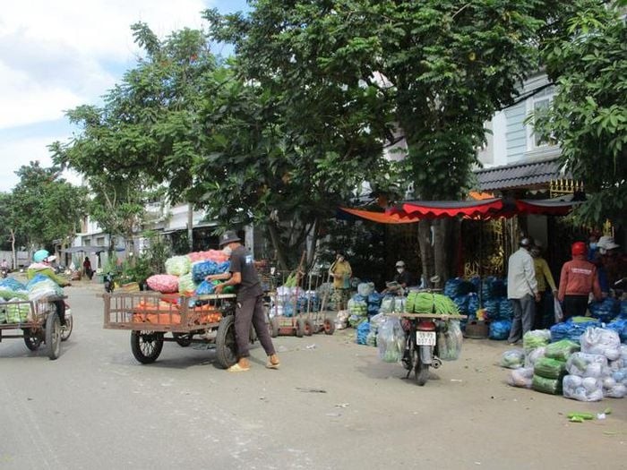 TP.HCM dự kiến xây thêm chợ đầu mối thứ 4 rộng 100ha ở Hóc Môn