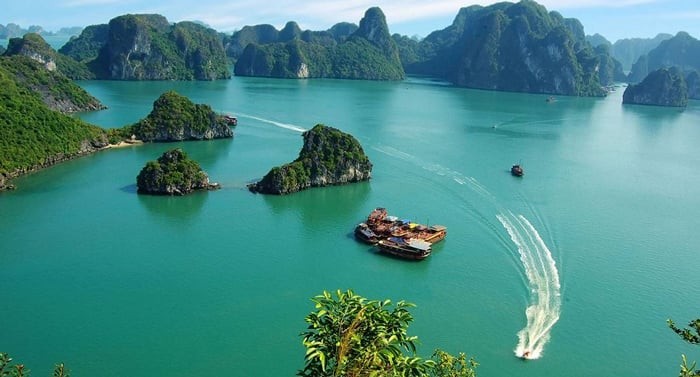 Quảng Ninh dự kiến thí điểm đưa du thuyền tham quan, lưu trú cao cấp tại vịnh Bái Tử Long