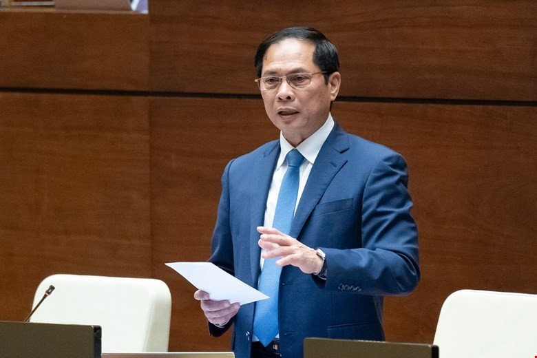 Bộ trưởng Bộ Ngoại giao Bùi Thanh Sơn trả lời chất vấn đại biểu Quốc hội. (Ảnh: Quochoi.vn)