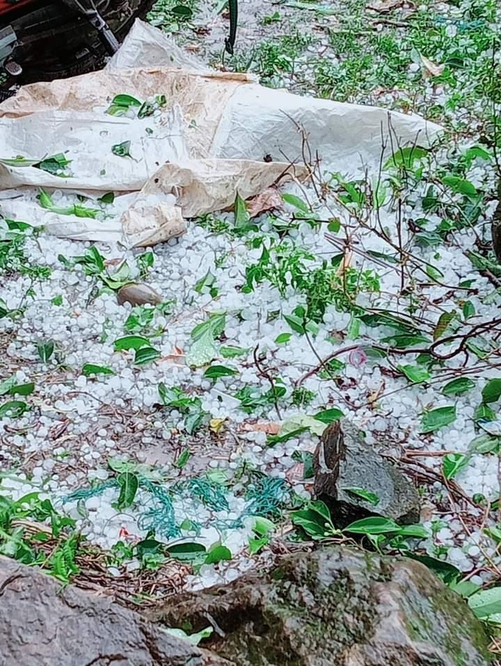 Mưa đá xuất hiện tại nhiều huyện miền núi Nghệ An
