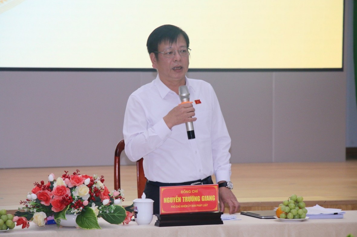 Phó chủ nhiệm Uỷ ban pháp luật Nguyễn Trường Giang phát biểu