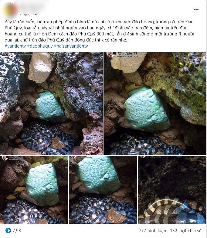 Thông tin lan truyền về xuất hiện ổ rắn cực độc tại hòn Đen, đảo Phú Quý (ảnh V.T TV).