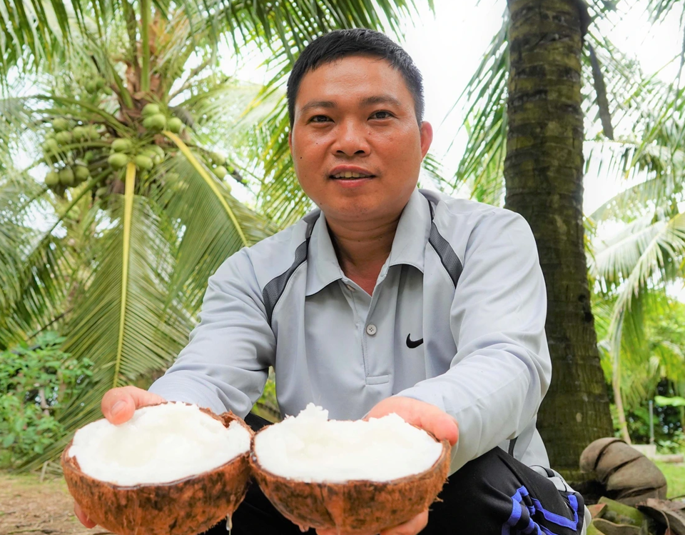 Sắp tổ chức Festival 100 năm cây dừa sáp Trà Vinh