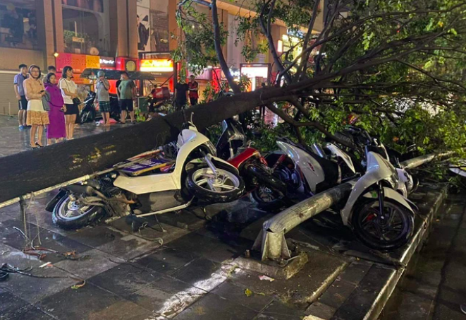 Hà Nội: Mưa dông khiến nhiều cây lớn đổ gãy đè bẹp "xế hộp", xe máy
