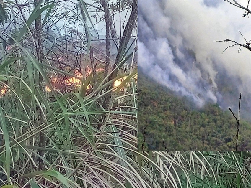 2 cán bộ kiểm lâm tử nạn khi tham gia chữa cháy rừng trên đỉnh Tây Côn Lĩnh
