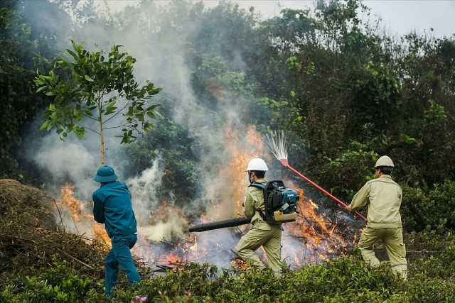 Nâng cao năng lực phòng cháy, chữa cháy rừng