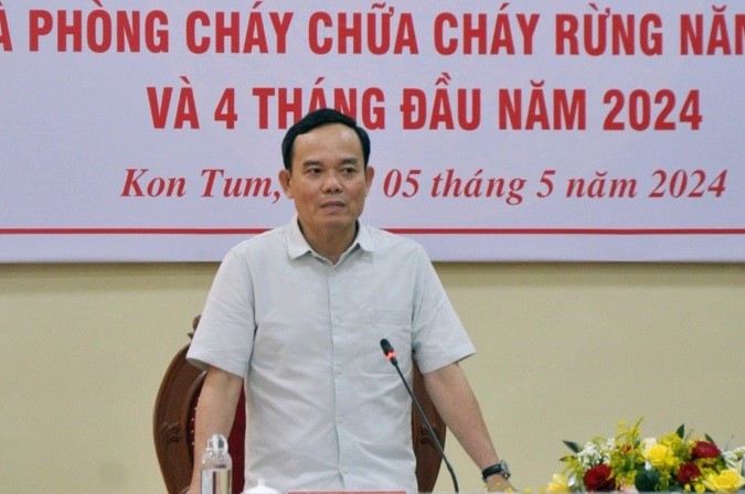 Phó Thủ tướng Chính phủ Trần Lưu Quang chủ trì hội nghị 