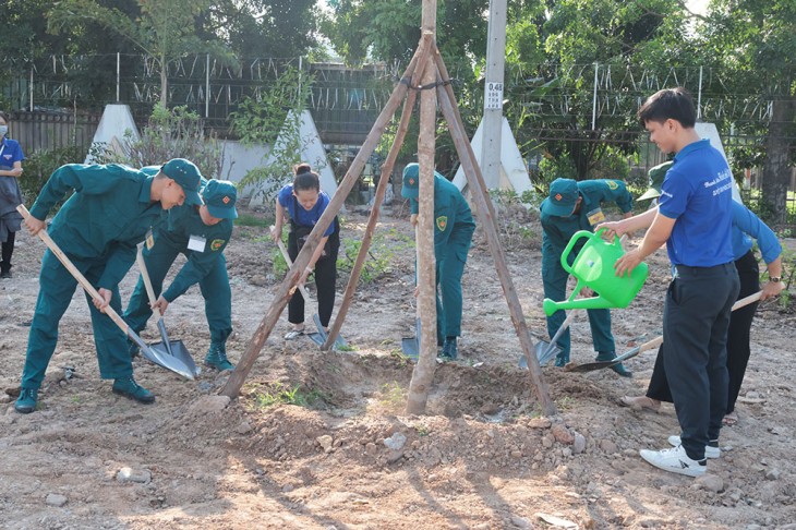 Các lực lượng đoàn viên, dân quân tự vệ tham gia trồng cây