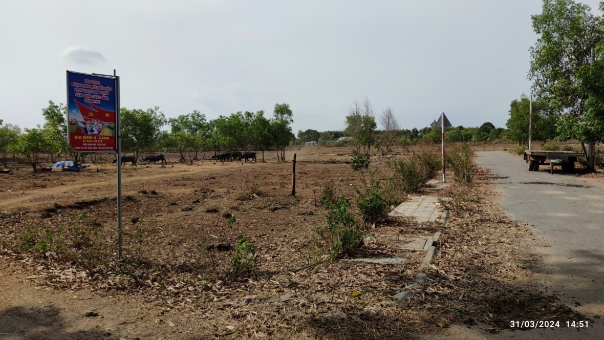 Phía sau cơn sốt phân lô đất nông nghiệp  - Bài 1: Về “thủ phủ” phân lô, băm nát ruộng vườn