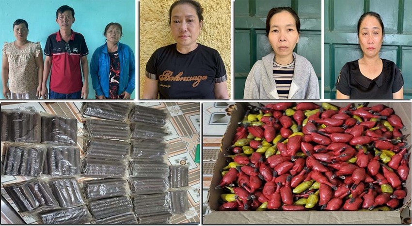 Triệt phá đường dây mua bán trái phép vật liệu nổ từ Kon Tum, Gia Lai về thị xã Nghi Sơn, tỉnh Thanh Hóa tiêu thụ.