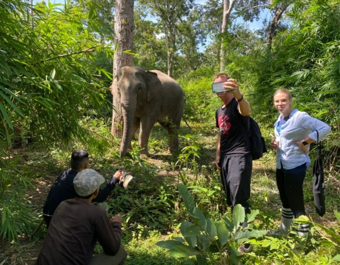 Rừng khộp tại Vườn quốc gia Yok Đôn là nơi duy nhất có mô hình du lịch thân thiện với voi nhà và voi hoang dã trong môi trường sống tự nhiên. Ảnh: Khánh Ngọc