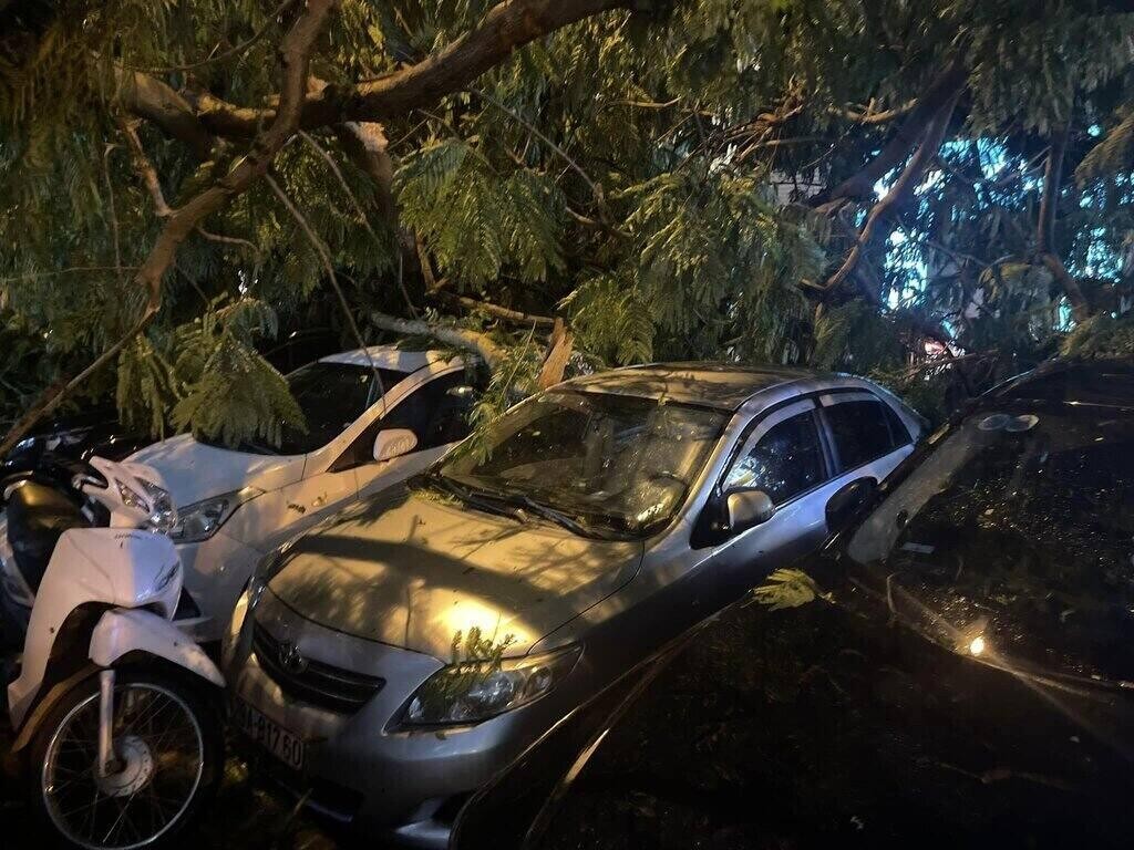 Cây xanh ở Hà Nội bật gốc, đè bẹp 7 xe ô tô con trong mưa lớn