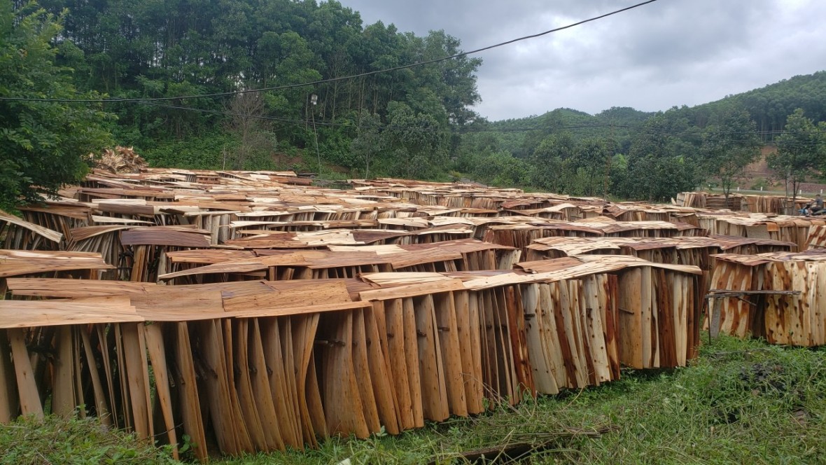 Bắc Giang: Cần cơ chế “đặc thù” tháo gỡ khó khăn cho các doanh nghiệp chế biến và sản xuất gỗ