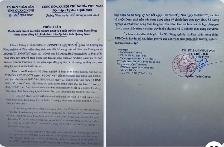 Quảng Ninh yêu cầu gần 1.500 tàu cá đăng ký theo quy định
