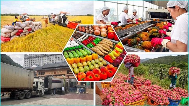 Nông sản Việt chấm dứt câu chuyện 'được mùa, mất giá'?