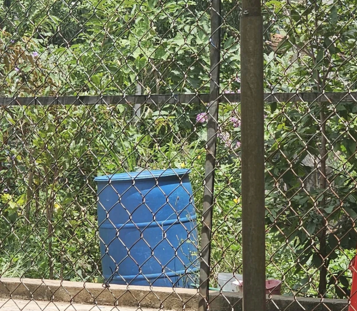 Điều tra vụ một phụ nữ tử vong trong thùng phuy nhựa tại Bình Phước