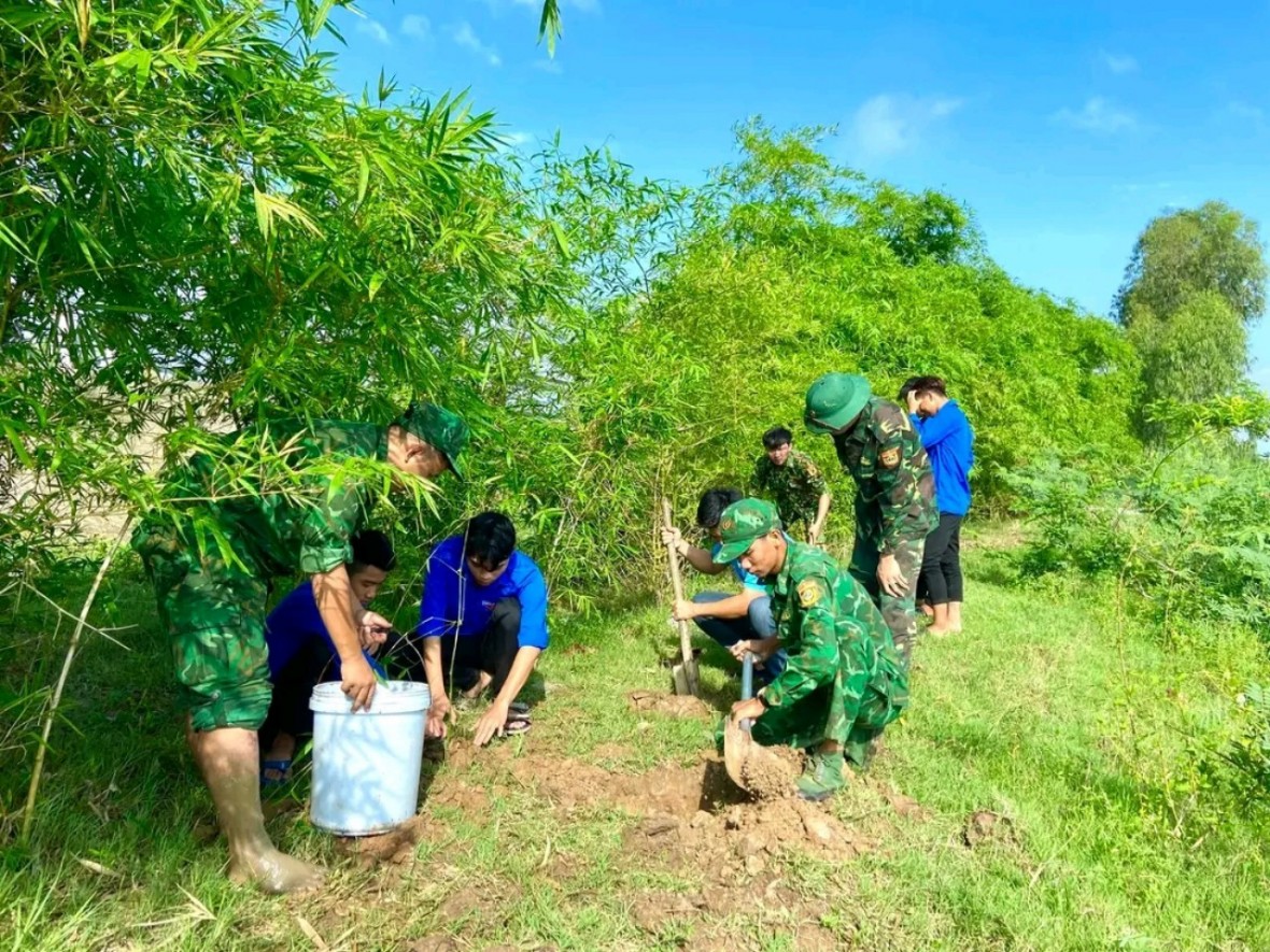 Luỹ tre biên giới sáng rực dưới ánh đèn đường biên