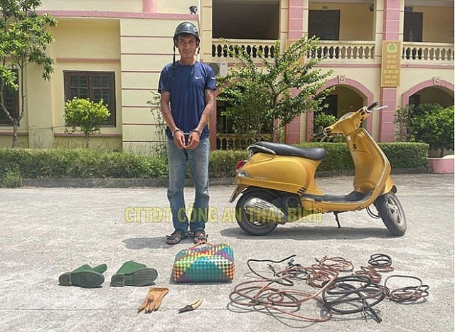 Khởi tố đối tượng gây ra hàng loạt vụ trộm cắp dây cáp điện ở Thái Bình