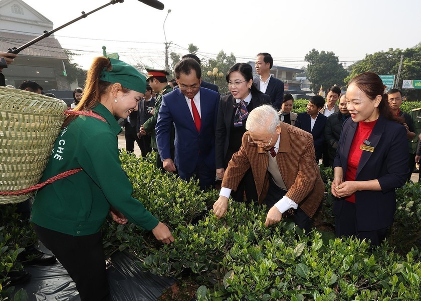 Tổng Bí thư Nguyễn Phú Trọng thăm vườn chè của Hợp tác xã Hảo Đạt, thành phố Thái Nguyên, tháng 1/2023. (Ảnh: Trí Dũng/TTXVN)