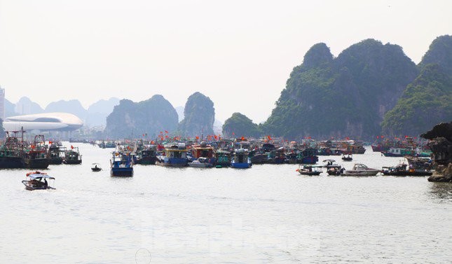 Quảng Ninh: Tạm ngừng cấp phép cho các phương tiện thuỷ ra khơi để ứng phó với bão số 2