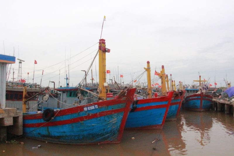 Nam Định, Thái Bình cấm biển để ứng phó với cơn bão số 2