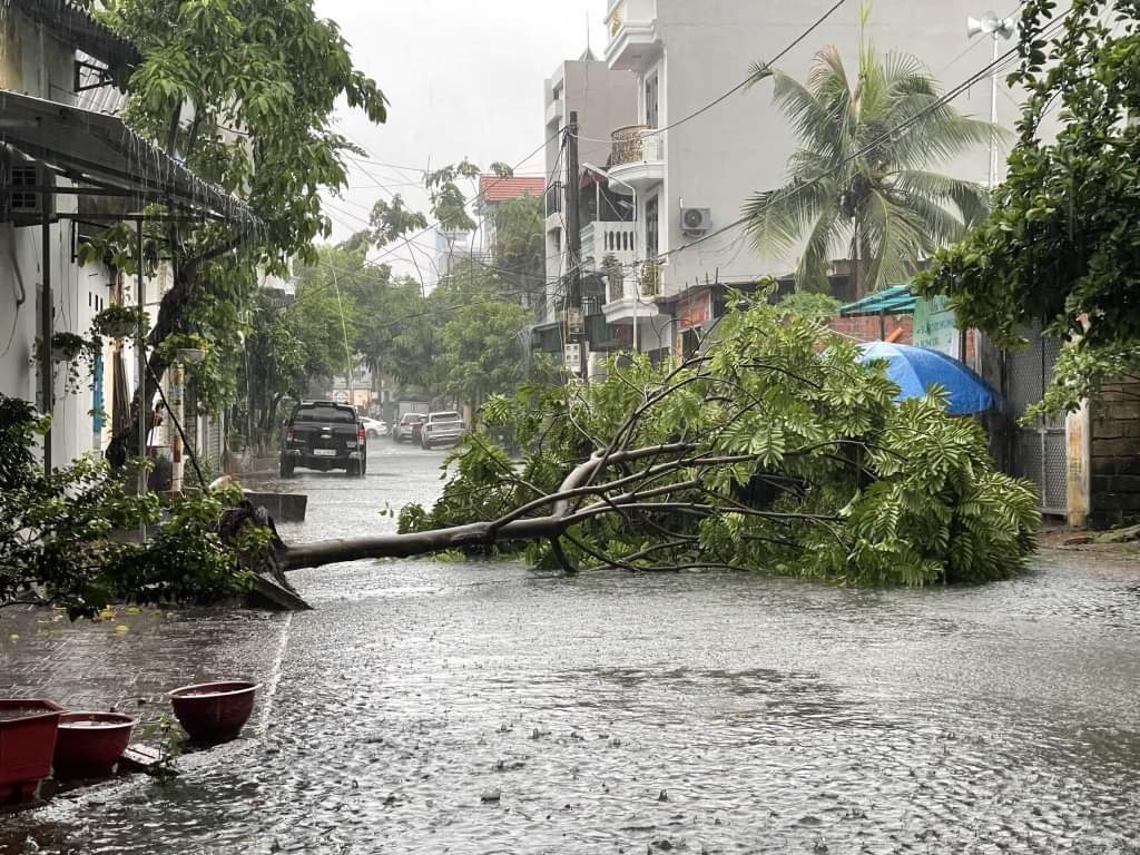 Quảng Ninh: Hàng loạt cây xanh bị quật ngã, nhiều tuyến đường ngập lụt khi bão số 2 đổ bộ