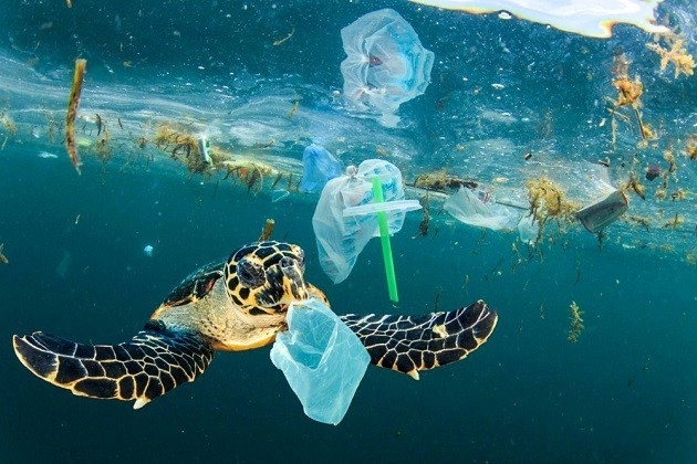 Kêu gọi thanh niên hành động để giảm thiểu rác thải đại dương