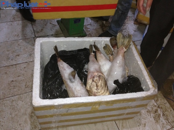 Một số loại hải sản đang trong qu&aacute; tr&igrave;nh hư hỏng, bị tịch thu