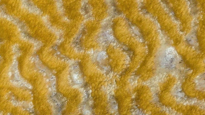 Quang cảnh sa mạc Boutilimit thuộc Mauritania, ch&acirc;u Phi.