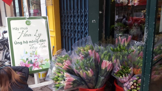 Shop hoa tươi&nbsp;Liti Florist số 3 Phố Huế b&aacute;n hoa ly kh&ocirc;ng lợi nhuận