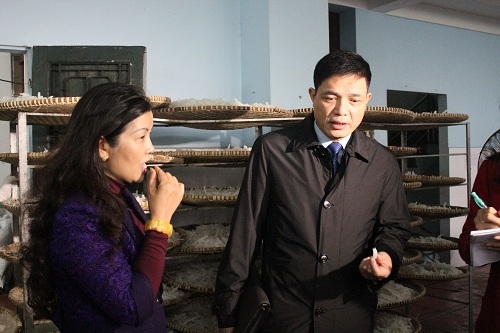Cuc trưởng Cục ATTP Nguyễn Thanh Phong c&ugrave;ng đo&agrave;n kiểm tra mứt tại l&agrave;ng mứt Xu&acirc;n Đỉnh.
