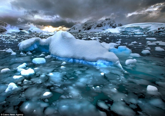 L&agrave;n nước băng gi&aacute; của Nam Cực c&oacute; những khung cảnh tuyệt đẹp, với băng tr&ocirc;i v&agrave; băng h&agrave; rải r&aacute;c tr&ecirc;n mặt biển xanh thẳm.