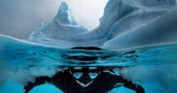 Khám phá Nam Cực dưới làn nước -2 độ C