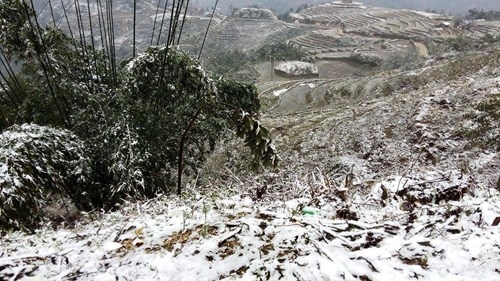 Ng&agrave;y 24/1 băng tuyết rơi d&agrave;y đặc tại Sapa, Mẫu Sơn, Ba V&igrave;, Tam Đảo....