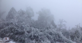 Tuyết phủ trắng ở chân núi Phu Xai Lai Leng