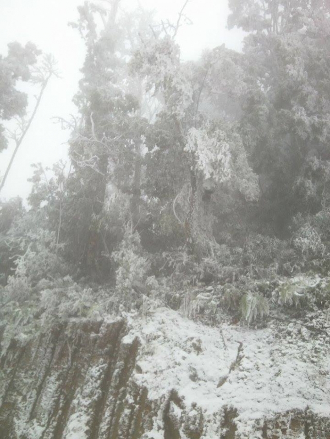 Tuyết phủ trắng ở ch&acirc;n n&uacute;i Phu Xai Lai Leng