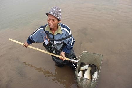 Thái Bình: Nhiều diện tích nuôi trồng thủy sản mất trắng vì rét hại