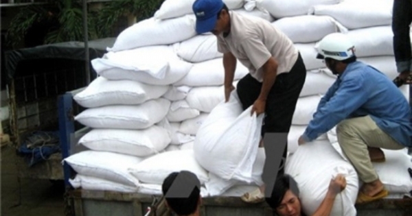 Chính phủ tiếp tục hỗ trợ gạo cho 6 tỉnh trong dịp Tết Bính Thân