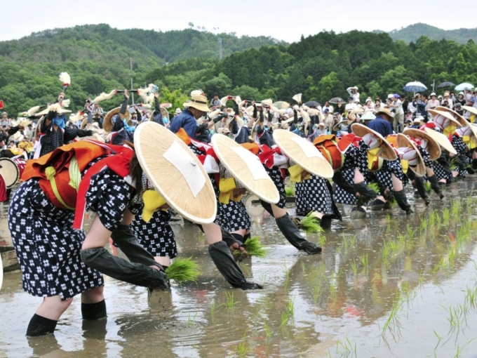 H&igrave;nh ảnh trong lễ hội trồng l&uacute;a Nhật Bản.