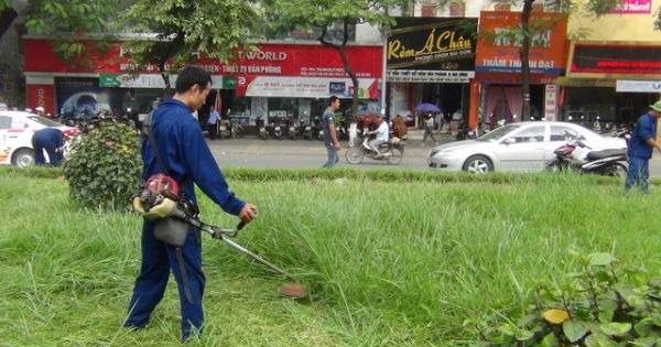 Hà Nội ấn định cụ thể số lần cắt cỏ, tưới nước cho cỏ....