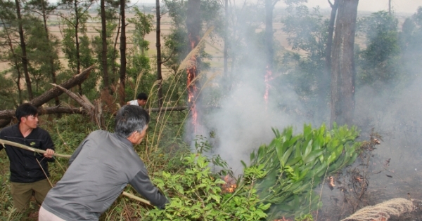 Hà Nam: Hơn 1 héc ta rừng keo bị cháy rụi