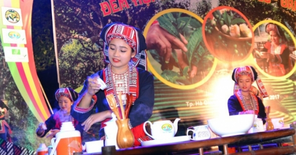 Hà Giang: Lần đầu tổ chức đêm hội thưởng trà hữu cơ