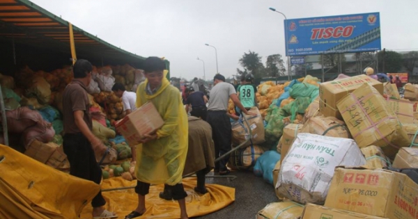 Hành động đẹp: Xe tải bị lật, người dân đổ xô thu gom 30 tấn dừa hộ tài xế