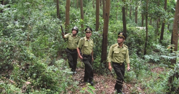 Cần xác định đúng bản chất của giao rừng, thu hồi rừng