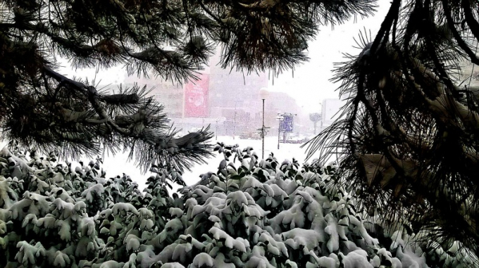Tuyết rơi trắng x&oacute;a phủ k&iacute;n c&acirc;y cối ở th&agrave;nh phố Kraguijevac. (Ảnh: Serbia.com)
