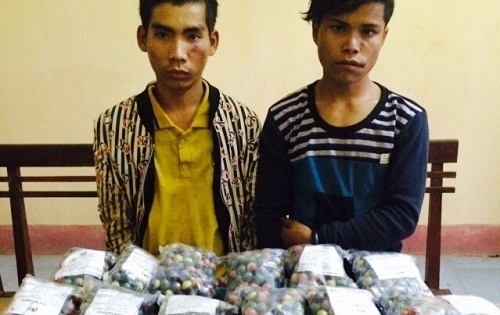 Bộ đội Biên phòng Gia Lai bắt giữ gần 10kg pháo nổ từ Campuchia
