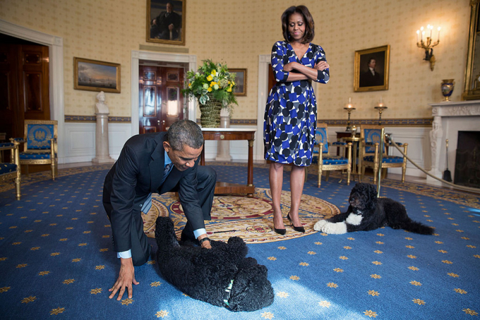 &Ocirc;ng Obama v&agrave; vợ chụp ảnh b&ecirc;n cạnh 2 ch&uacute; c&uacute;n cưng của gia đ&igrave;nh l&agrave; Sunny v&agrave; Bo.