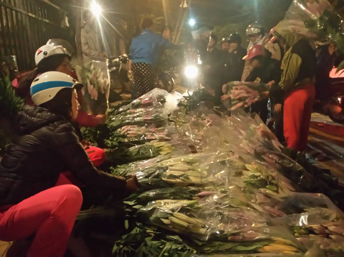 Nam Định: Nhộn nhịp chợ hoa đ&ecirc;m giữa l&ograve;ng th&agrave;nh phố