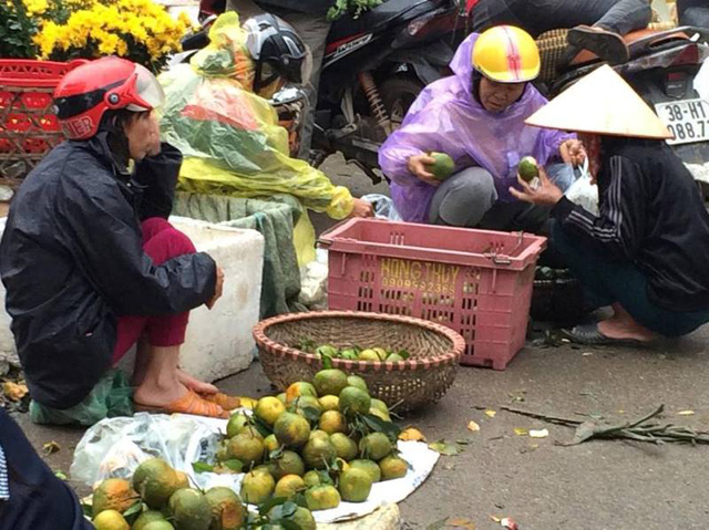 Nhiều n&ocirc;ng d&acirc;n cũng đang cố gắng để b&aacute;n hết số n&ocirc;ng sản m&igrave;nh l&agrave;m ra để kịp về sum vầy với gia đ&igrave;nh. Tất cả đ&atilde; tạo ra một nhịp điệu hết sức hối hả, tập nập của kh&ocirc;ng kh&iacute; chiều 30 tết.